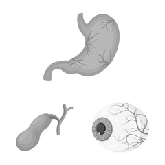 Vector design of body and human logo. Collection of body and medical stock vector illustration.