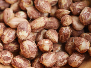 Fresh peeled organic hazelnuts kernel