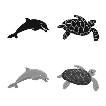 Vector design of sea and animal icon. Collection of sea and marine stock vector illustration.