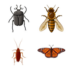 Vector illustration of insect and fly logo. Set of insect and element stock symbol for web.