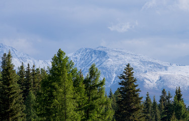 Altai mountains and taiga forest. Nature landscape