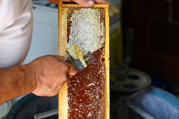 honey comb. Beekeeper is uncapping honeycomb with uncapping fork. Beekeeping concept. Authentic lifestyle image. Top view. Free space for text