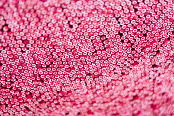 Magenta pencil warehouse. Drawing artist supplies. Background pattern texture