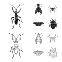 Isolated object of insect and fly sign. Collection of insect and element vector icon for stock.