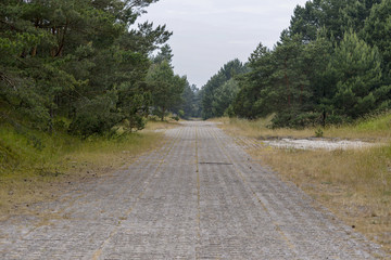 Leśna wojskowa droga