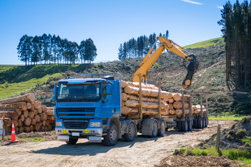 A blue log truck being loaded with logs by a swing loader