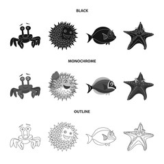Vector illustration of sea and animal icon. Collection of sea and marine stock vector illustration.
