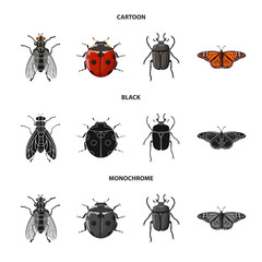 Vector design of insect and fly sign. Collection of insect and element stock symbol for web.