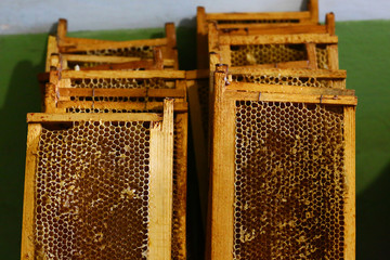 frames with bees wax structure full of fresh bee honey in honeycombs. Authentic lifestyle image....