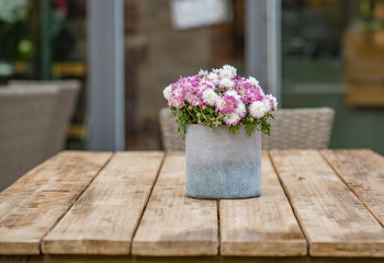 Chrysanthemen im Topf auf einem Holztisch, unscharfer Hintergrund