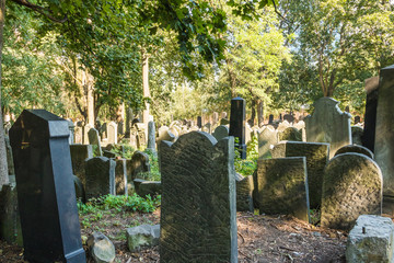 Naklejka premium Warsaw Poland: Matzeva graves at the Jewish Cemetery.. 
