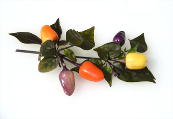 Topfchili, Chili, Lila Luzi F1, Bluete,