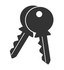 Logo flat simple silhouette isolated icon key on white background