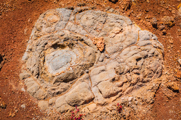 Natural background of petrified lava on the coast of the island. Madeira. Portugal