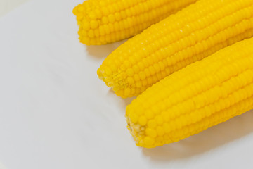 Three Fresh corn on white table, closeup.