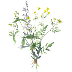 Watercolor bouquet of wild flowers and herbs. Isolated on white background