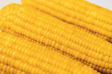 Three Fresh corn on white table, closeup.
