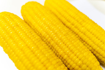 Three Fresh corn on white table, closeup.