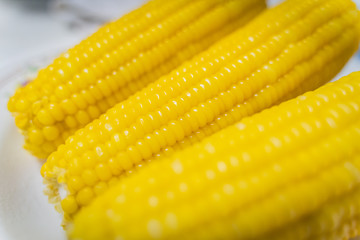 Three Fresh corn on white table, closeup.