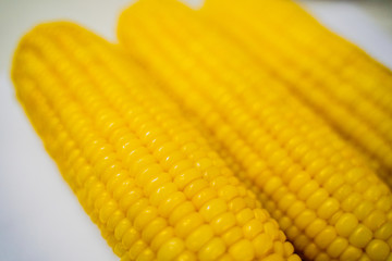Three Fresh corn on white table, closeup.