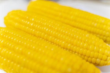 Three Fresh corn on white table, closeup.