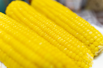 Three Fresh corn on white table, closeup.