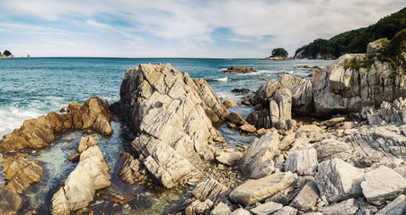 Beautiful panorama of pine forest on the coast. Rocks and seashore