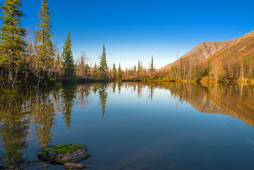 Fall colored larch trees are reflected in a beautiful mountain lake