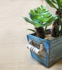 Fresh Artificial Flowers and Plants in wooden pot colur Blue on the background of burlap
