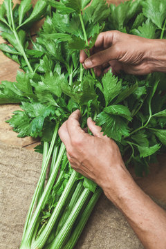 Hands cut off celery leaves on green beam