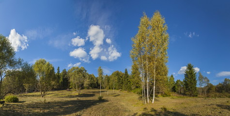 Obraz premium Panorama of the autumn forest landscape