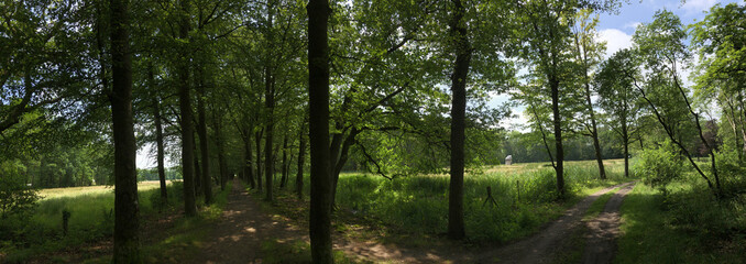 Fototapeta na wymiar Panorama from the forest in Natuurschoon Nietap