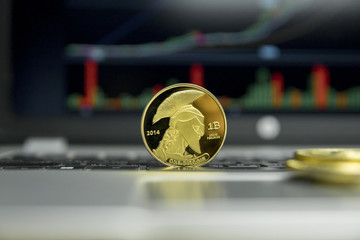 Golden titan bitcoin coin with gold coins lying around on a silver keyboard of laptop and diagram...
