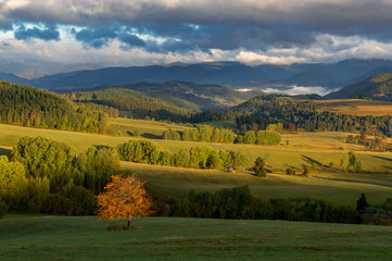 Fall in Slovakia. Meadows and fields landscape near Povraznik. Autumn color trees at sunrise.