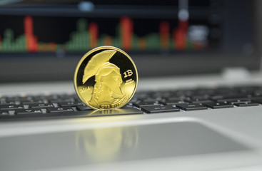 Golden titan bitcoin coin on a silver keyboard of laptop and diagram chart graph on a screen as a...