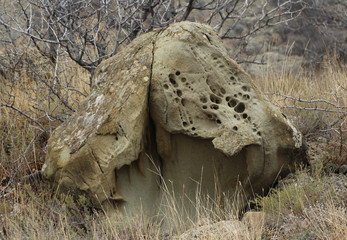 a miracle of nature a stone mushroom on Mount Meganom, Crimea