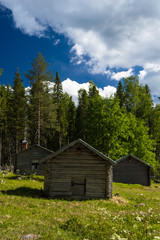 Old houses at fäbod