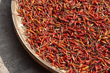 Fototapeta premium red hot chillies in a bowl