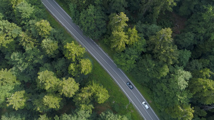 Fototapeta premium AERIAL: Flying above two cars cruising through the beautiful dark green forest.