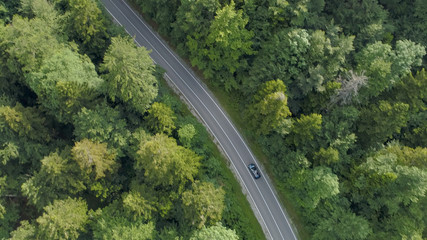 AERIAL: Flying above a car cruising along a country road running through forest.