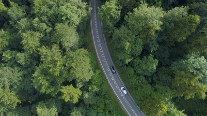 AERIAL: White car trailing dark car down empty road leading through the forest.