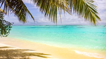 Fototapeta na wymiar Palm leaf over white sand beach and turquoise sea, Maldives.