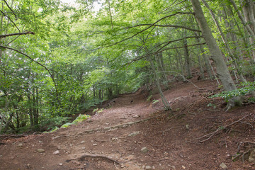 Subiendo al Matagalls desde Sant Mar&ccedil;al