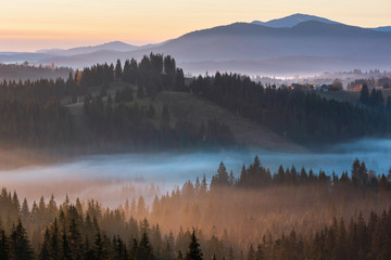 Early morning misty autumn Carpathian mountain, Ukraine.