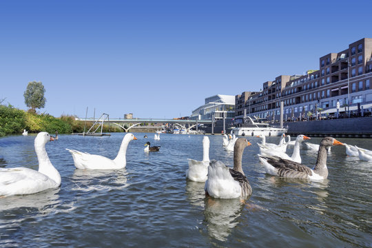 Am Hafen von Venlo