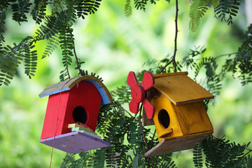 colorful wooden bird house with green background