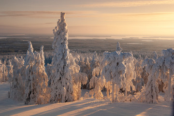 A landscape covered with snow at a mountain ski resort at sundown. Vuokatti Finland