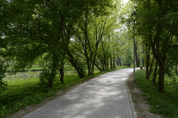 Fototapeta na wymiar Park w Konstancinie
