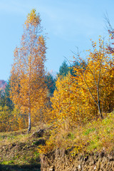 Autumn Carpathian mountains, Ukraine