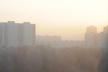 Multi-storey apartment houses in the morning fog in the winter